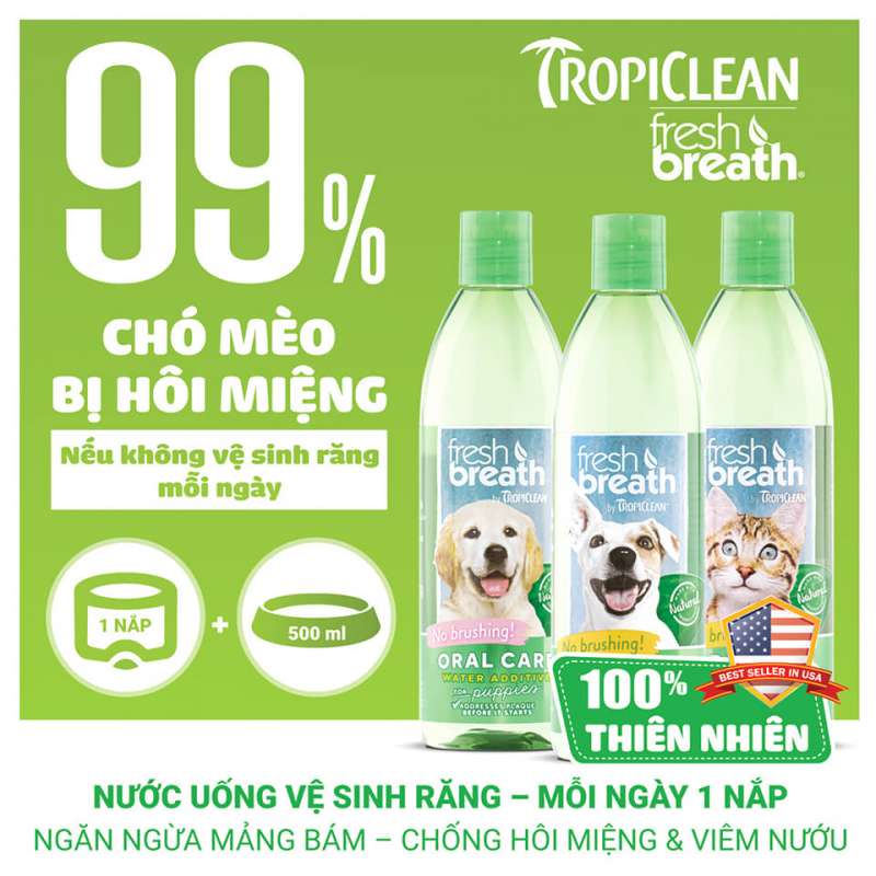 Top 3 sản phẩm vệ sinh răng miệng chó mèo siêu dễ Sen nào cũng làm được