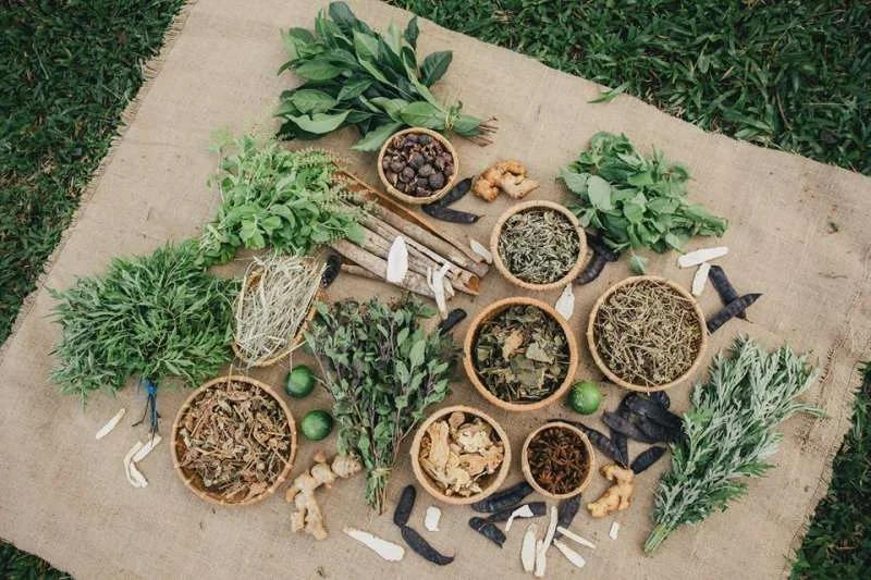 Nguyên liệu làm dầu gội bồ kết thảo mộc