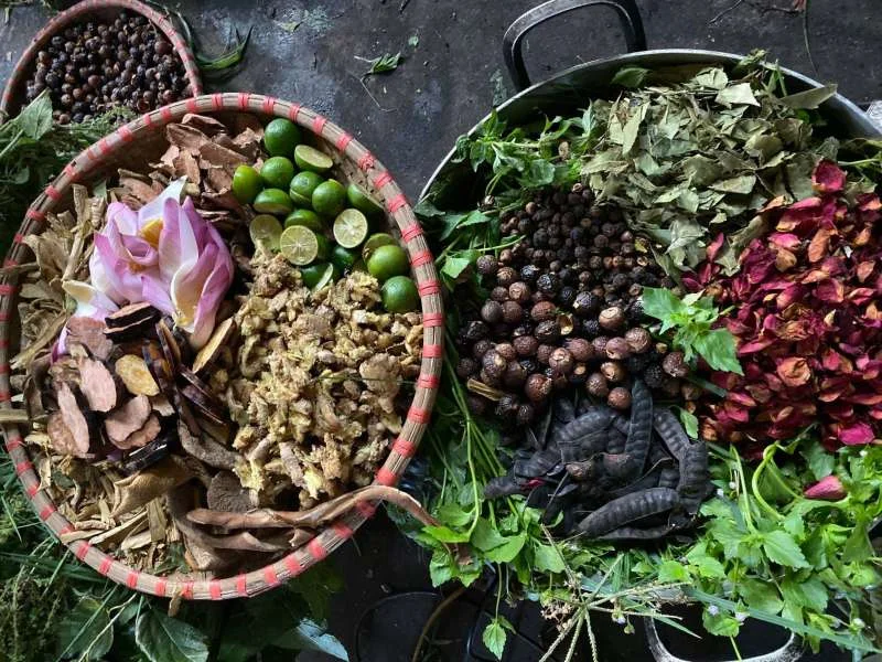 Sơ chế nguyên liệu làm dầu gội bồ kết thảo mộc