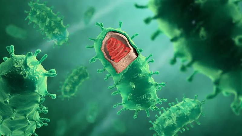 Bạn đã biết các phân biệt đơn giản virus, vi khuẩn và ký sinh trùng?