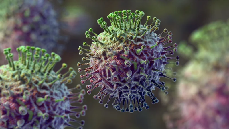 Virus cúm B hay còn gọi là cúm B