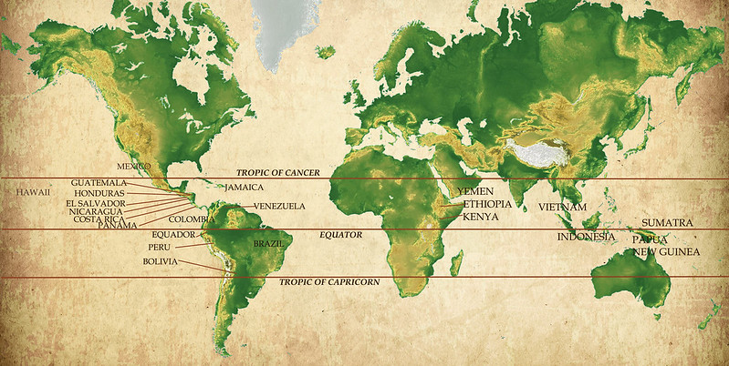 Bản đồ cà phê trên thế giới