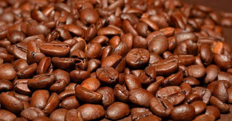 Arabica là giống cà phê đầu tiên xuất hiện ở Việt Nam