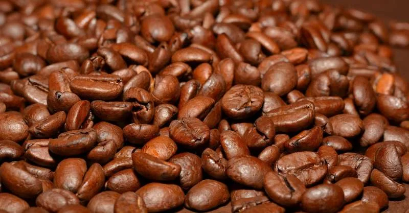 Arabica là giống cà phê đầu tiên xuất hiện ở Việt Nam