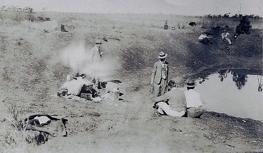 Australia's Bizarre Battle: The Great Emu War