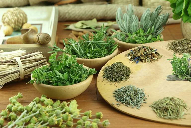 Lá Đinh lăng khô được sử dụng trong nhiều bài thuốc cường dương