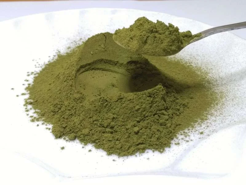 Làm trắng da, trị mụn với mặt nạ trà xanh thuần túy