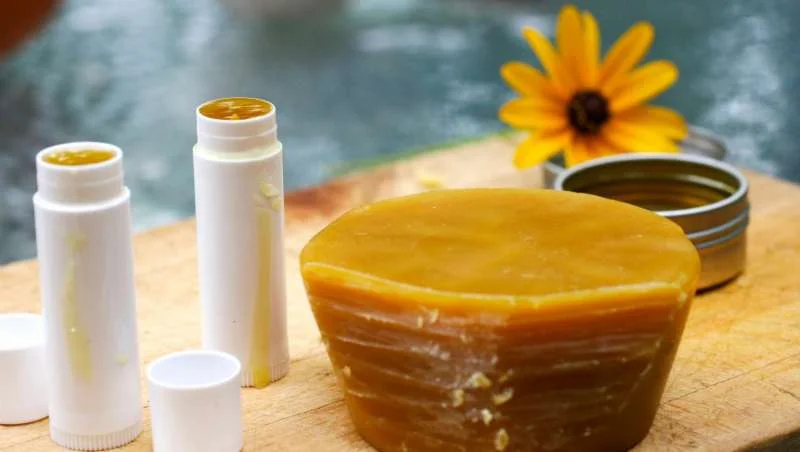 Son dưỡng môi bằng dầu gấc