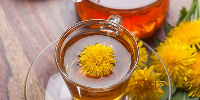 Trà Bồ công anh hoa cúc