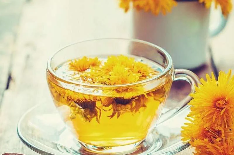 Trà Bồ công anh đem lại nhiều lợi ích cho cơ thể