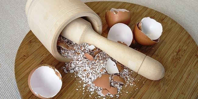 Làm phân bón tự nhiên với vụn vỏ trứng