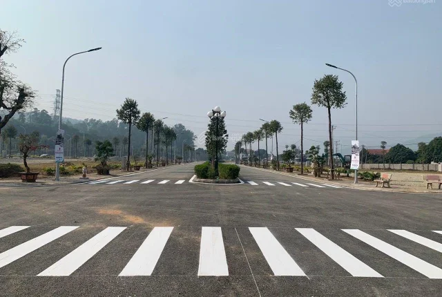 Chọn đúng chủ đầu tư bạn sẽ có đủ thông tin cần thiết trước khi quyết định mua