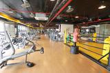 TOP 7 Địa chỉ tập gym nổi tiếng tại Hà Nội