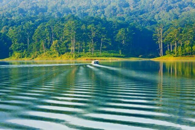  Dòng nước xanh biếc ở Hồ Tuyền Lâm