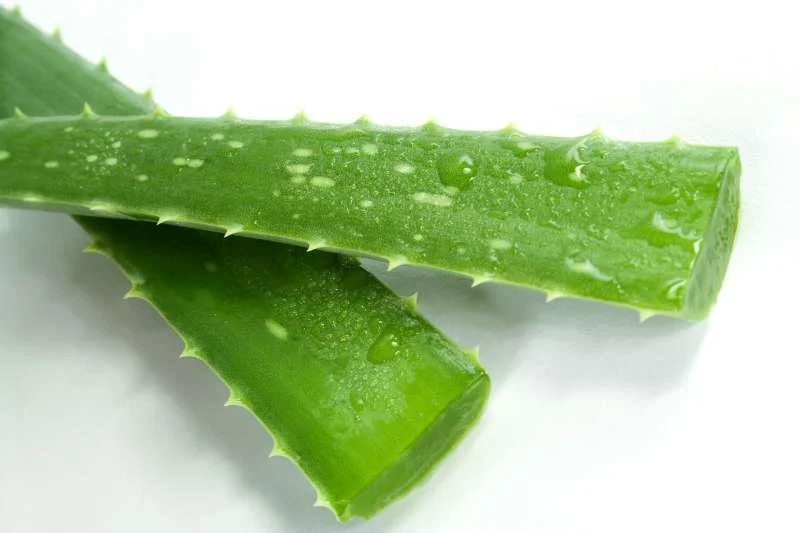 Nha đam có những tác động tích cực đến làn da như thế nào?