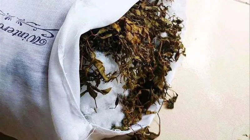 Gối Đinh lăng giúp bé ngủ ngon, không quấy khóc