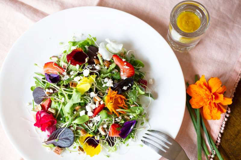 Làm salad với hoa Sen cạn