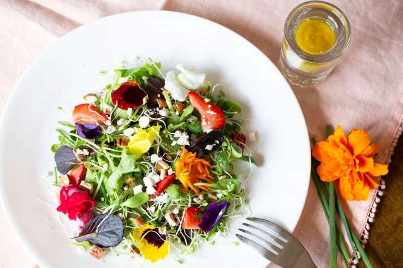 Làm salad với hoa Sen cạn