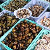 TOP 5 Quán ốc nổi tiếng tại quận 8 TPHCM