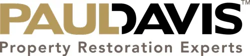 Paul Davis: Leading the Way in Mold Damage Restoration and Repair