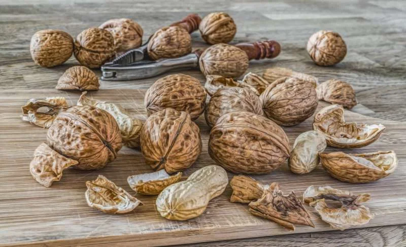 Hạt óc chó