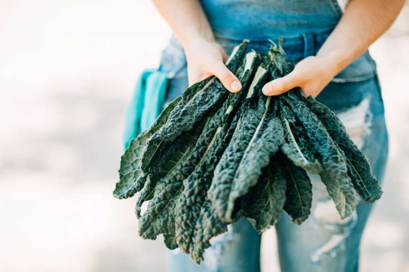 Công dụng của cải Kale là gì?