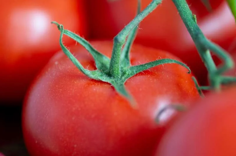Cà chua giàu vitamin E