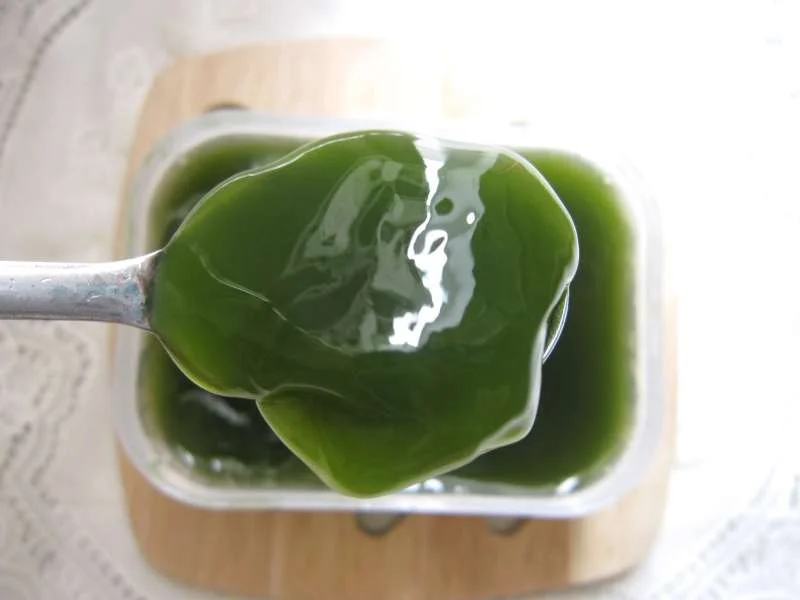 Thạch sương sâm ăn mát, không bị ngấy