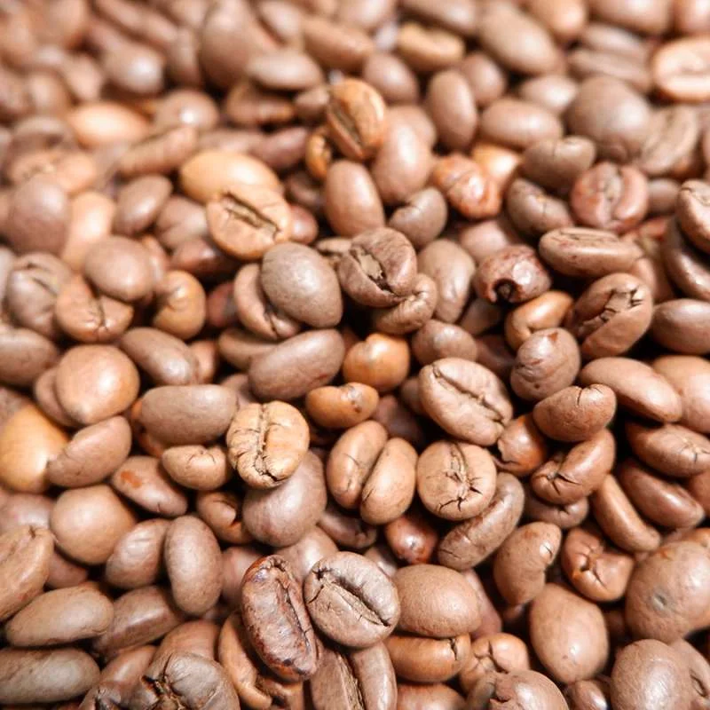 Hạt cà phê Robusta