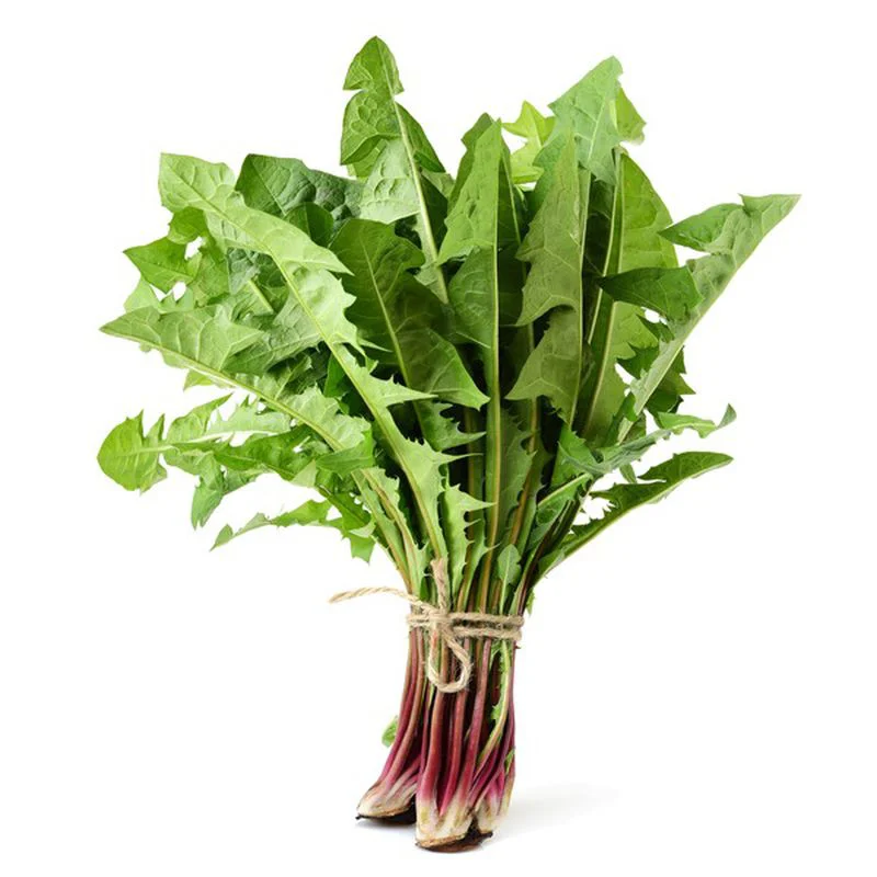 Lá Bồ công anh