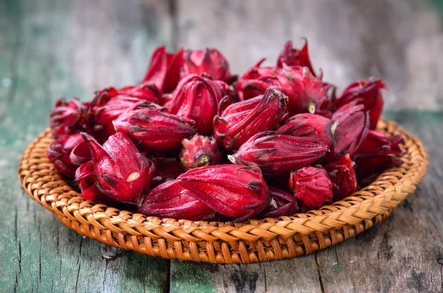 Hoa Bụp giấm tươi có thể làm siro, mứt, gia vị