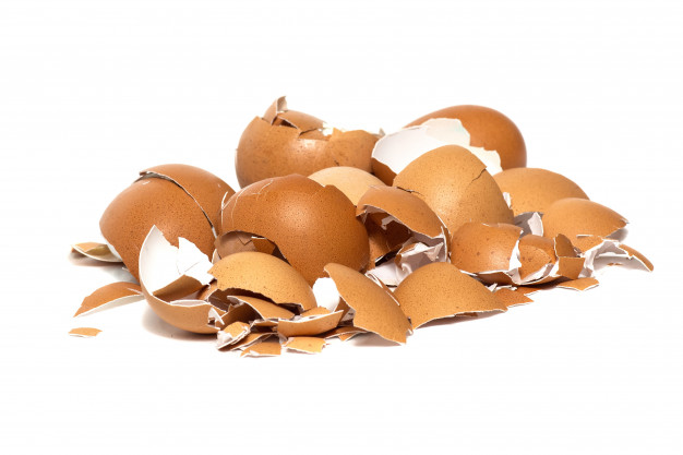 Vụn vỏ trứng có thể ủ làm phân bón