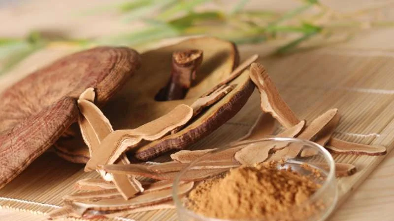Bột nấm Linh Chi