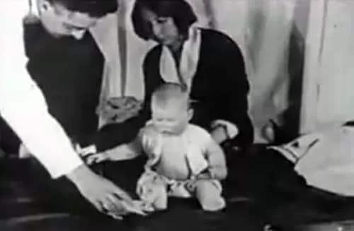 Thí nghiệm "sự sợ hãi của Albert"