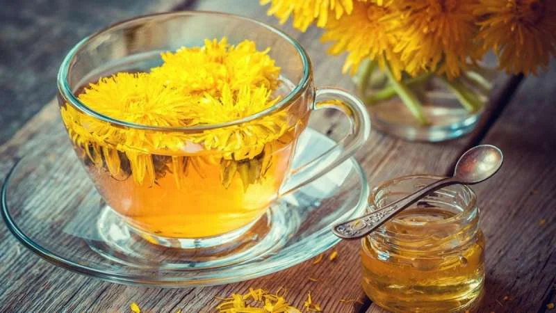 Trà hoa Bồ công anh