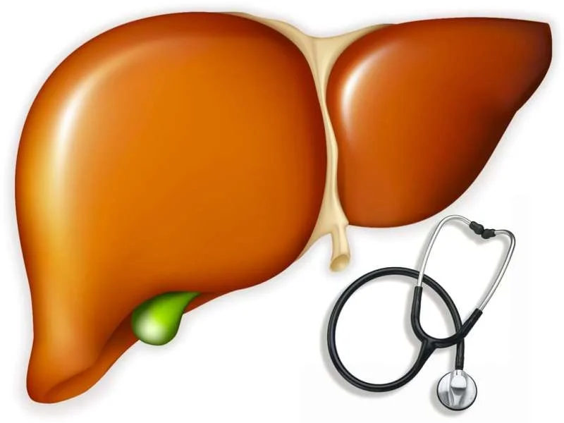Bệnh viêm gan E có gì khác với bệnh viêm gan B?