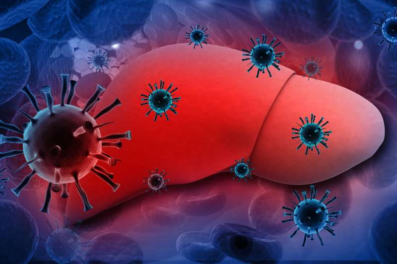 Viêm gan E và viêm gan B là 2 bệnh phổ biến trong số các bệnh viêm gan