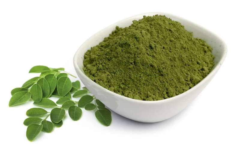 Chùm ngây có chứa hàm lượng lớn Beta-sitosterol 